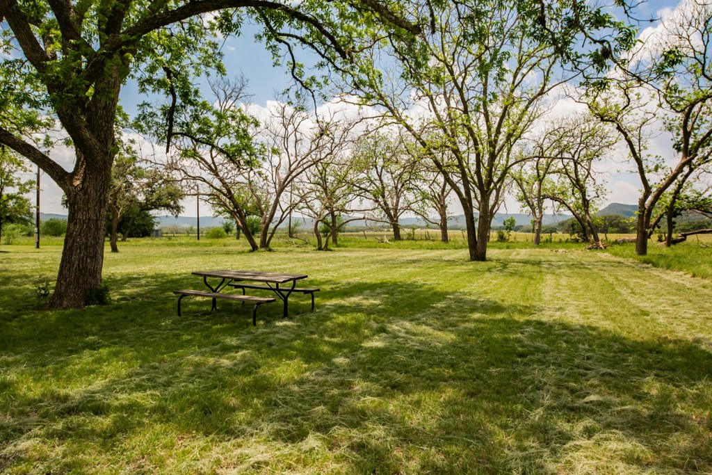 2657 West Sabinal Road Utopia, TX 78884 - Photo 7 of 36 a view of swimming pool with tree s