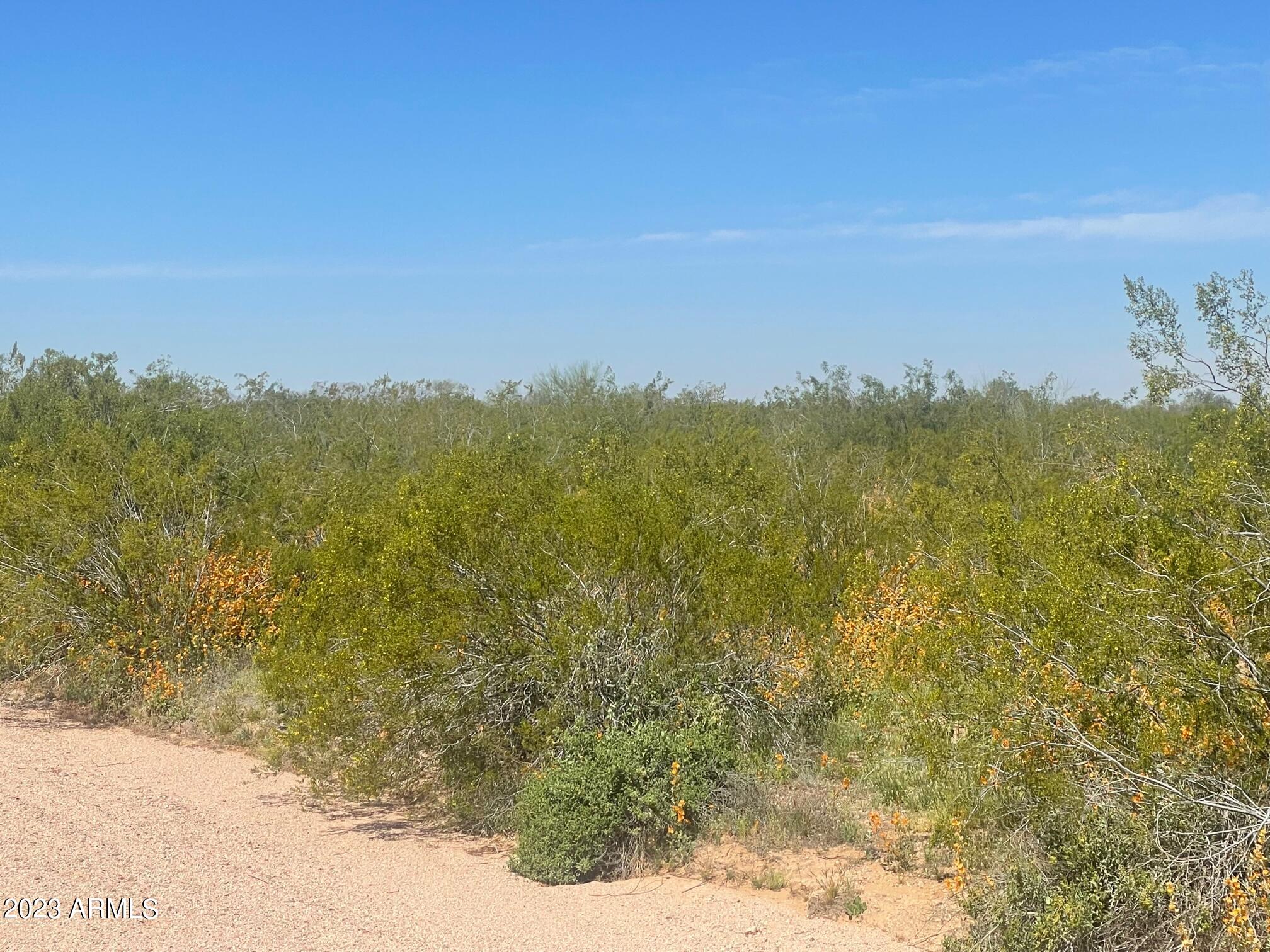 0 West Marsh Road Stanfield, AZ 85172 - Photo 3 of 3 IMG_4259