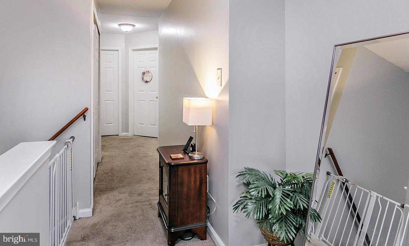 278 Ripka Street Philadelphia, PA 19127 - Photo 12 of 30 a living room with furniture and a potted plant
