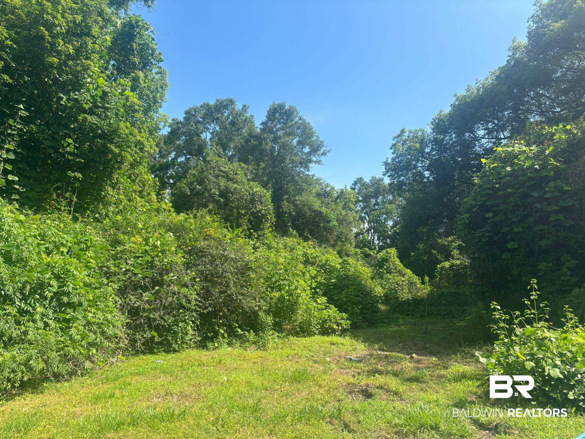 6827 Rester Road Theodore, AL 36582 - Photo 5 of 5 View of tree filled area