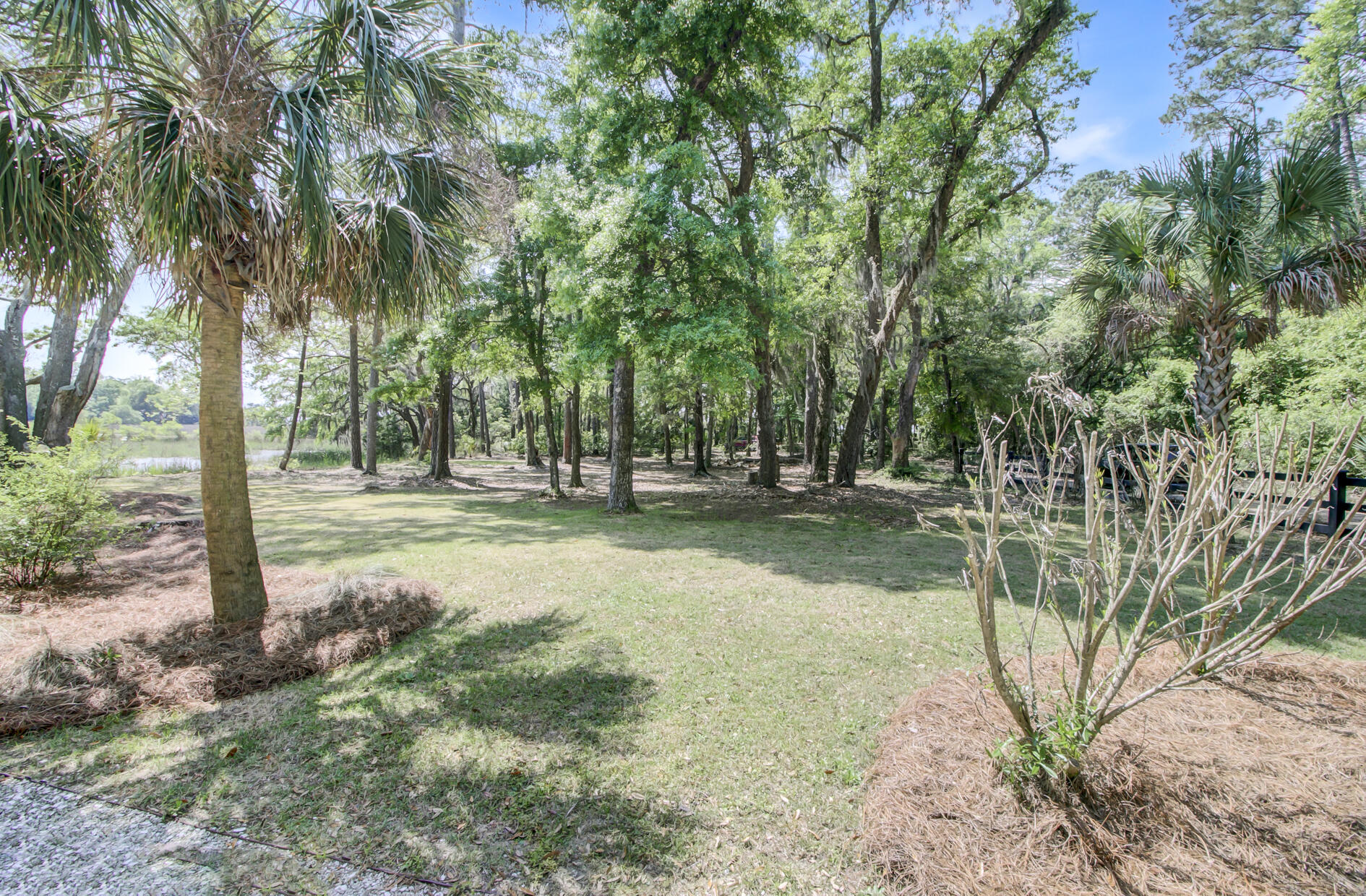 8723 Raccoon Island Road Edisto Island, SC 29438 - Photo 11 of 60 8723 Raccoon Island Rd - Edisto Island