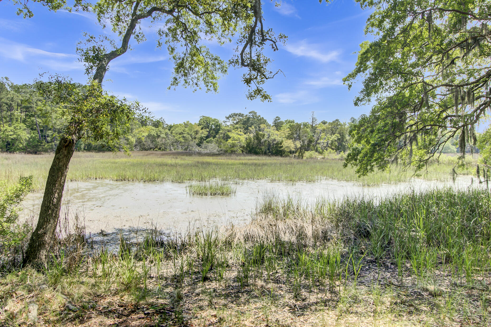 8723 Raccoon Island Road Edisto Island, SC 29438 - Photo 17 of 60 8723 Raccoon Island Rd - Edisto Island