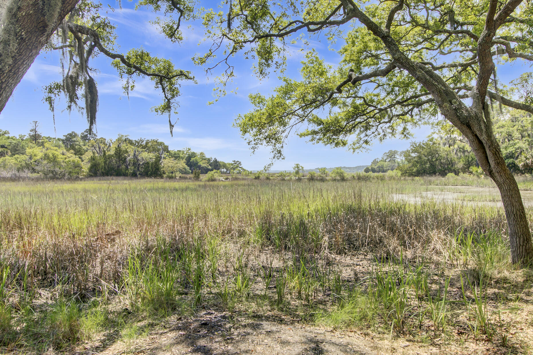 8723 Raccoon Island Rd - Edisto Island