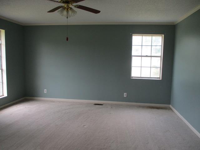 1625 Daniel Hester Road Lenox, GA 31637 - Photo 15 of 19 Gallery Image 15