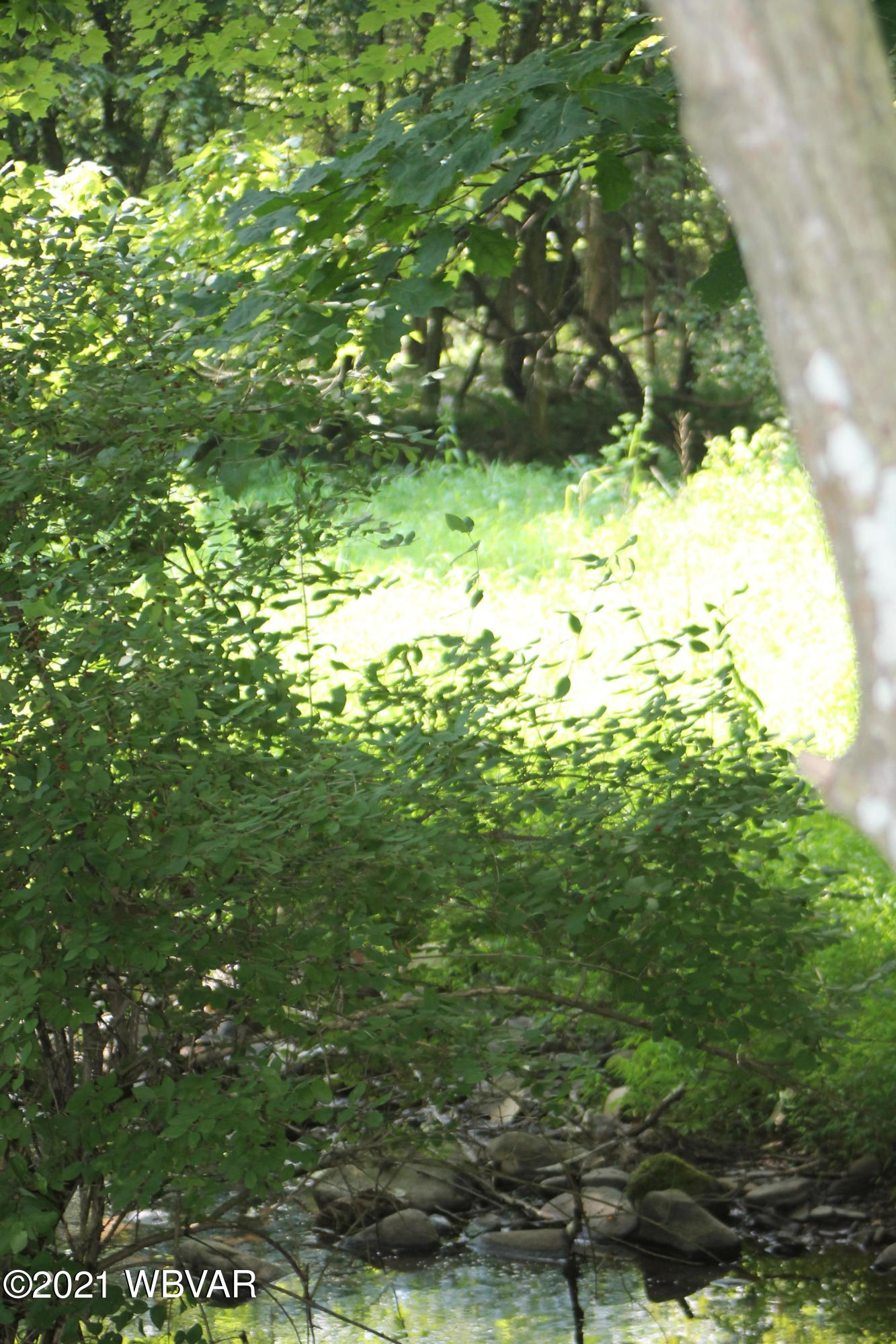 Pleasant Stream Road Trout Run, PA 17771 - Photo 8 of 12 Gallery Image 8