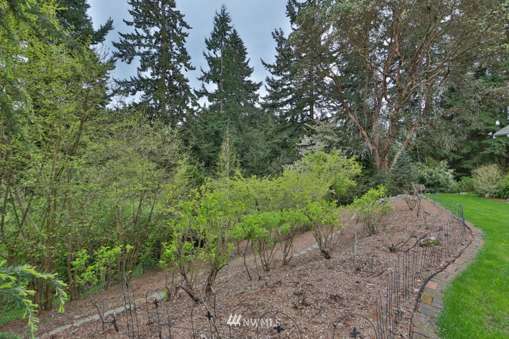 9828 232nd Street Southwest Edmonds, WA 98020 - Photo 3 of 25 Gallery Image 3