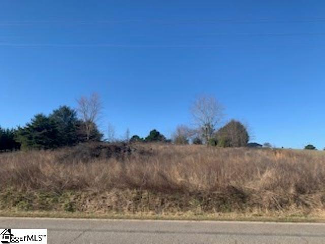 554 Wilkins Road Campobello, SC 29322 - Photo 2 of 5