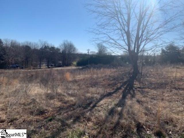 554 Wilkins Road Campobello, SC 29322 - Photo 3 of 5