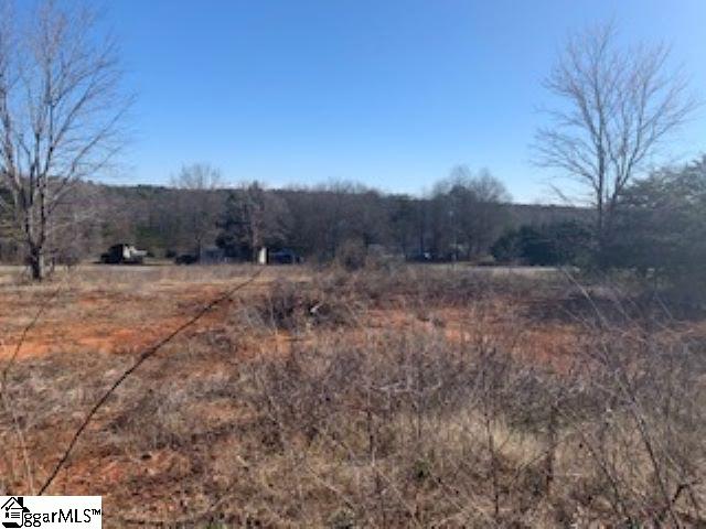 554 Wilkins Road Campobello, SC 29322 - Photo 4 of 5