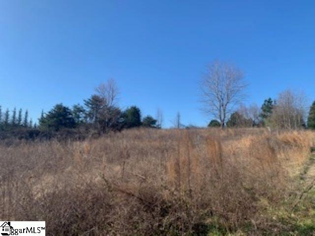 554 Wilkins Road Campobello, SC 29322 - Photo 5 of 5
