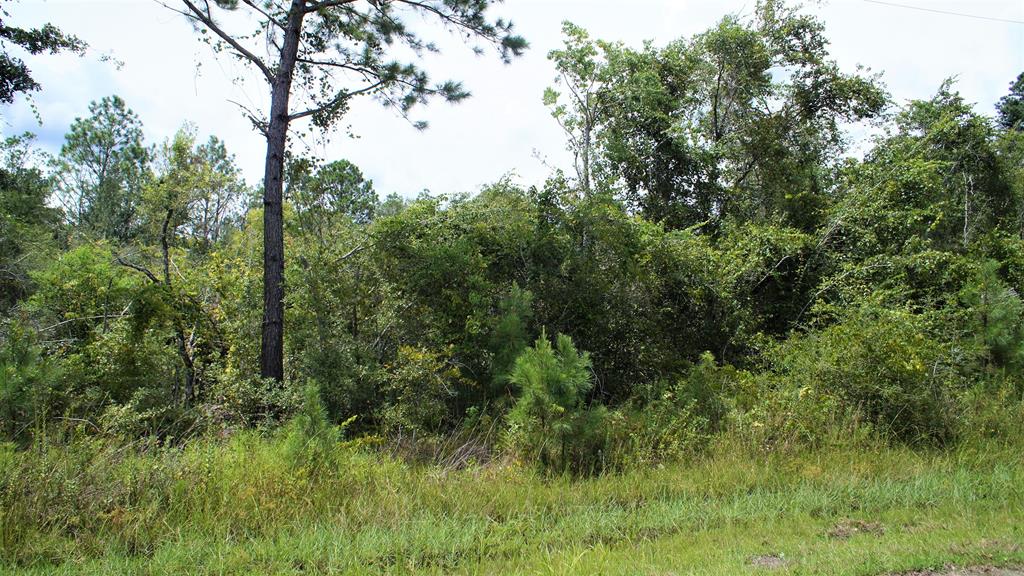6637 Ganley Road Wewahitchka, FL 32465 - Photo 2 of 6