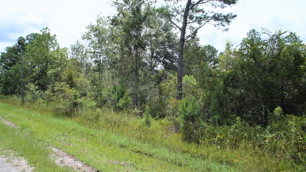 6637 Ganley Road Wewahitchka, FL 32465 - Photo 4 of 6