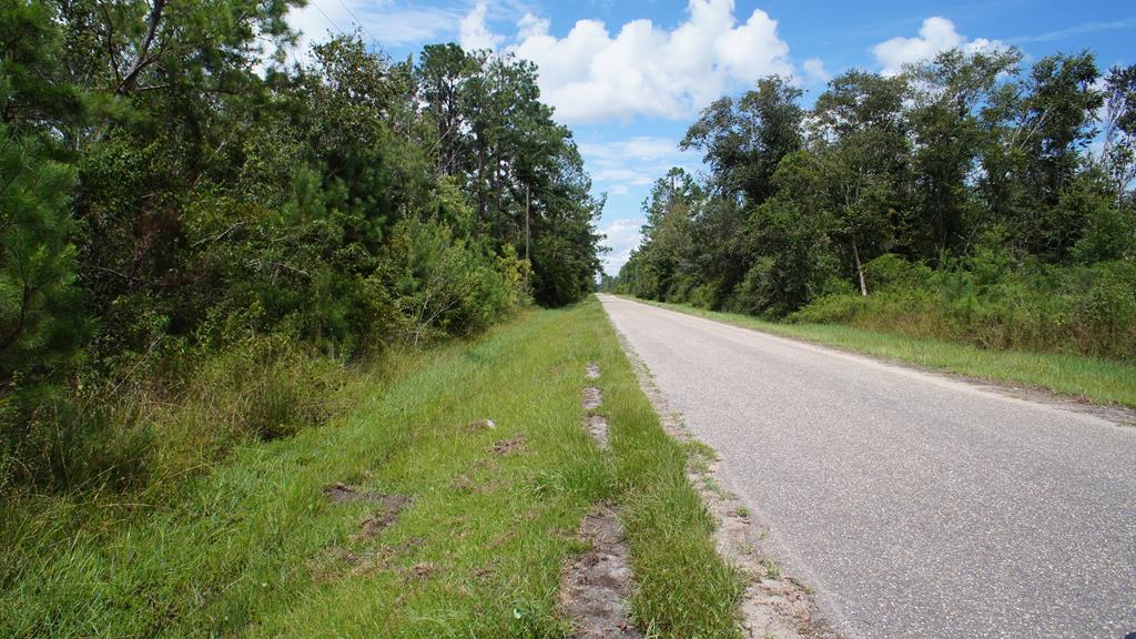 6637 Ganley Road Wewahitchka, FL 32465 - Photo 6 of 6