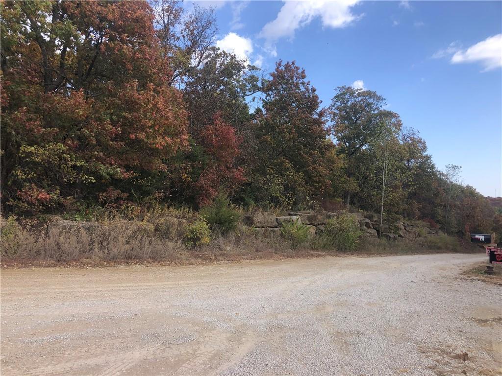 Southeast Rattle Snake Lane Butler, MO 64730 - Photo 1 of 1 Gallery Image 1