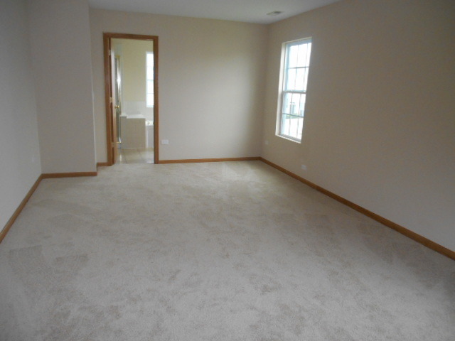 443 Cardinal Lane Bolingbrook, IL 60490 - Photo 11 of 22