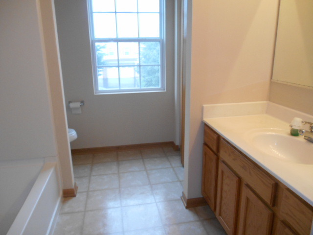 443 Cardinal Lane Bolingbrook, IL 60490 - Photo 17 of 22