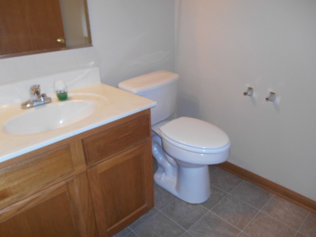 443 Cardinal Lane Bolingbrook, IL 60490 - Photo 19 of 22