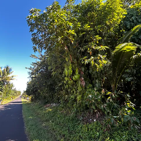 $32,000 | 24 Opae Street, Pahoa, HI 96778