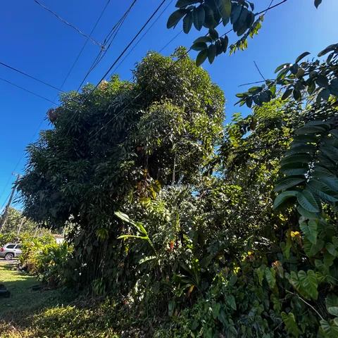 $32,000 | 24 Opae Street, Pahoa, HI 96778