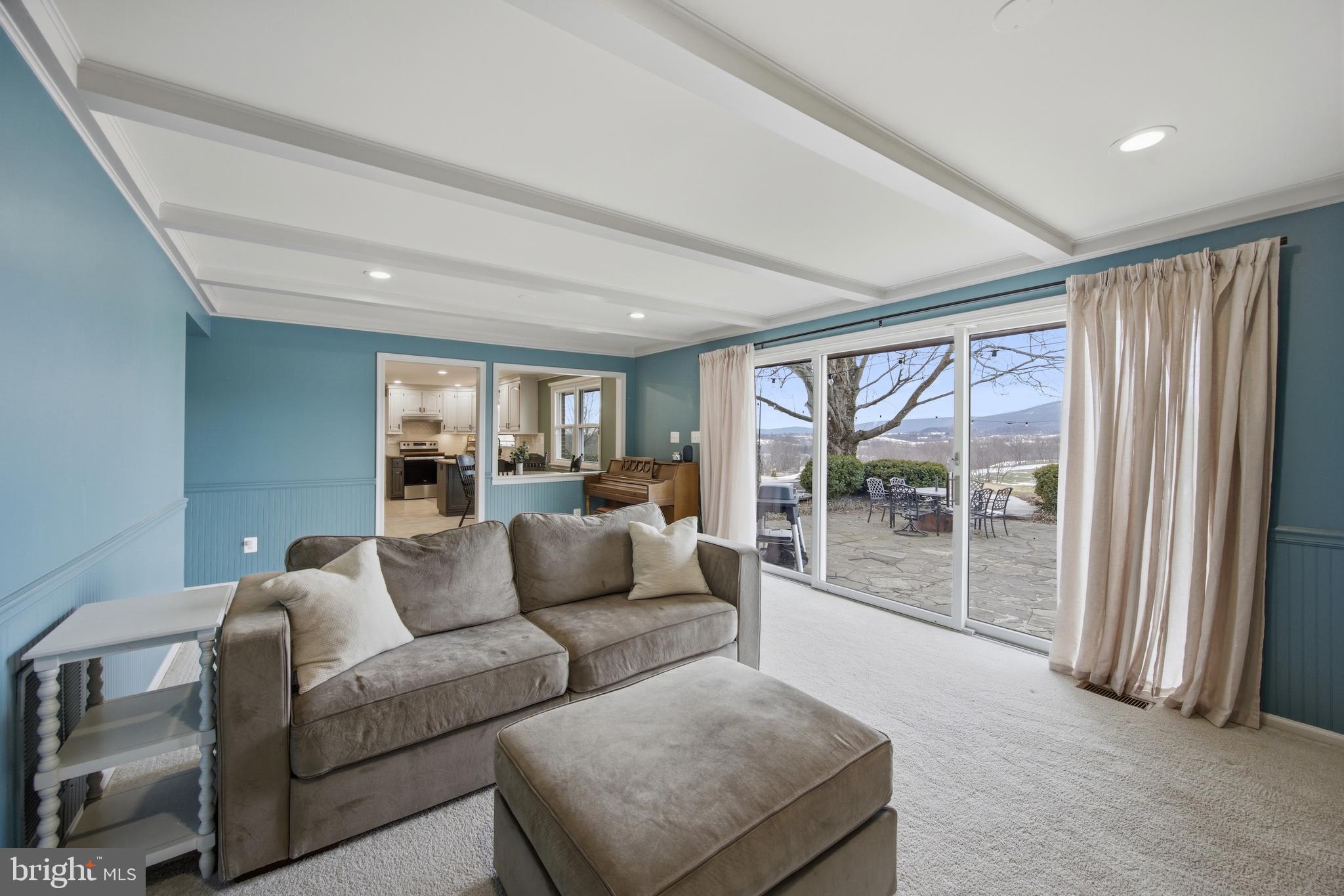 8450 Palmer Road Middletown, MD 21769 - Photo 43 of 94 Family Room w/ Fireplace