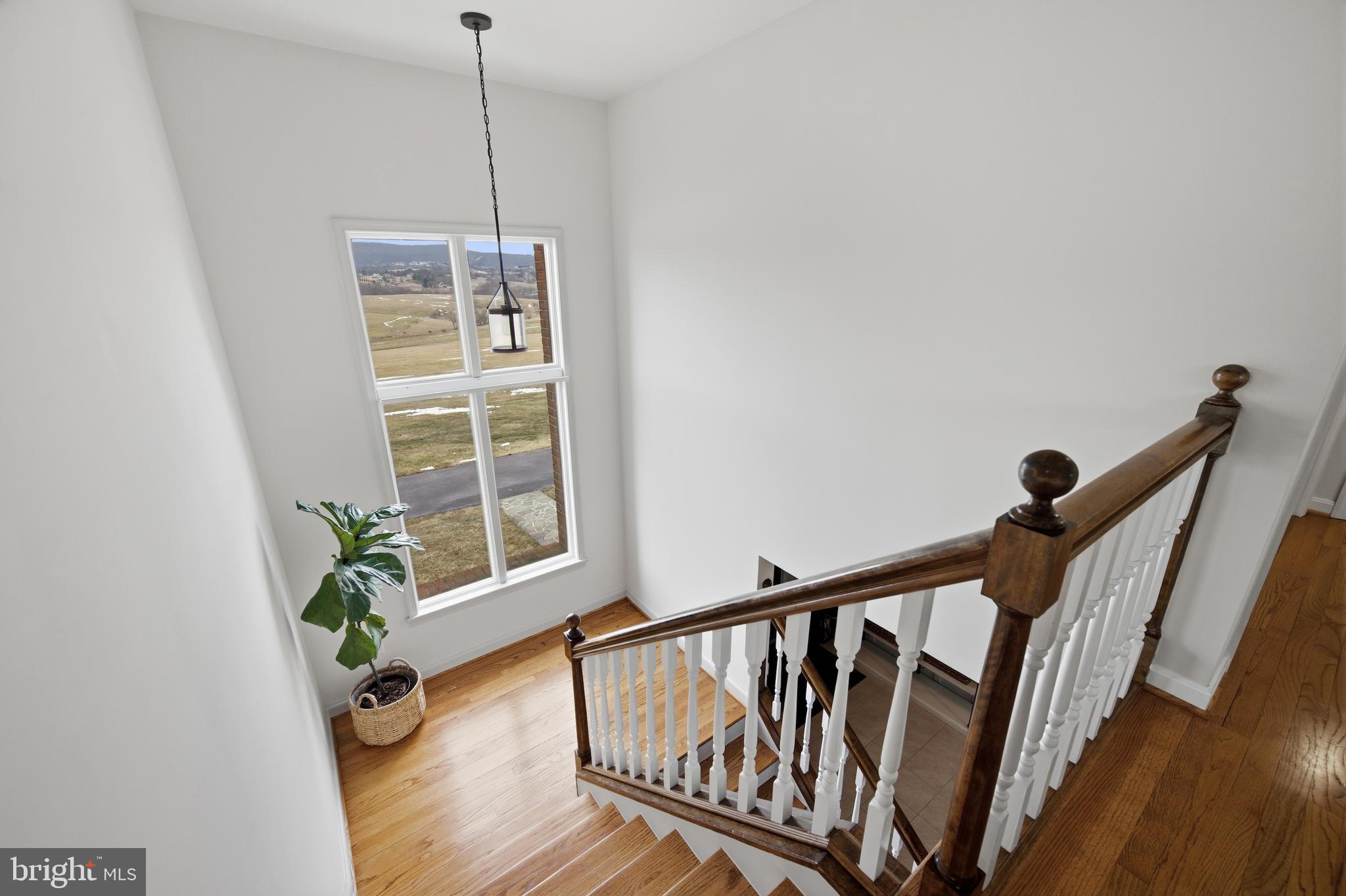 8450 Palmer Road Middletown, MD 21769 - Photo 55 of 94 Beautiful Hardwood Stairs to Living Quarters