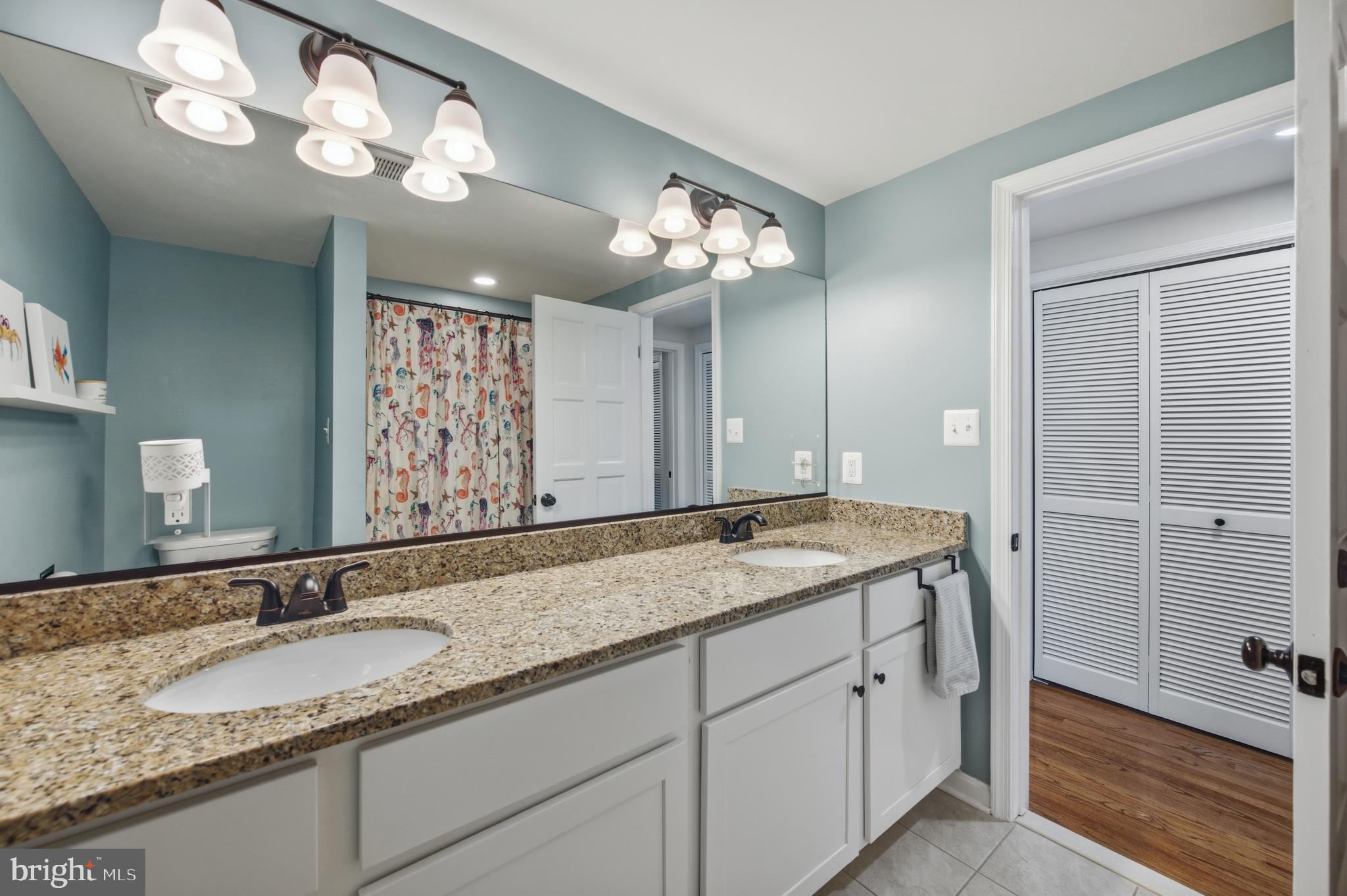 8450 Palmer Road Middletown, MD 21769 - Photo 66 of 94 Upper Level Hallway Full Bath