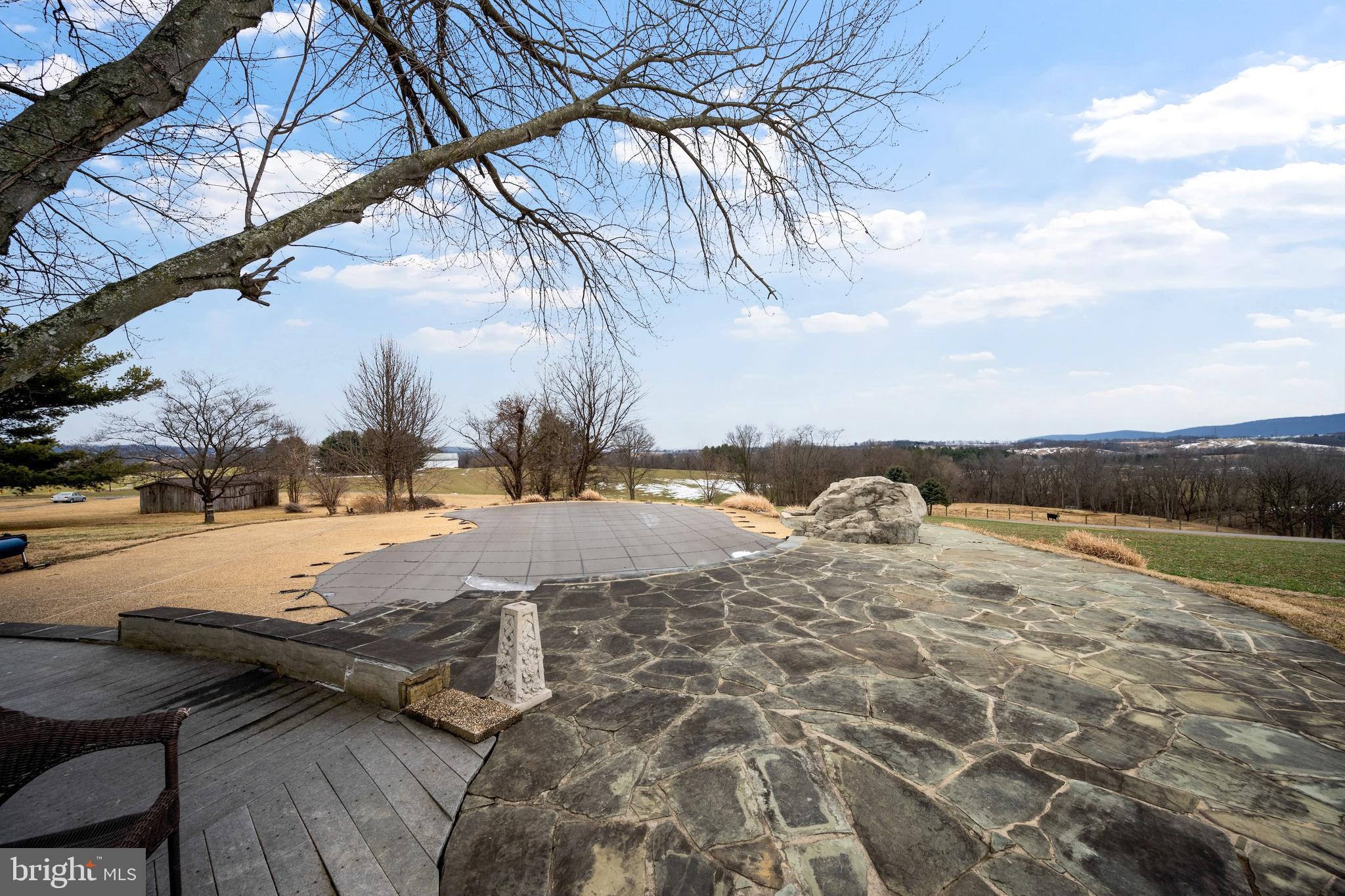 8450 Palmer Road Middletown, MD 21769 - Photo 81 of 94 Patio with In-Ground Heated Pool