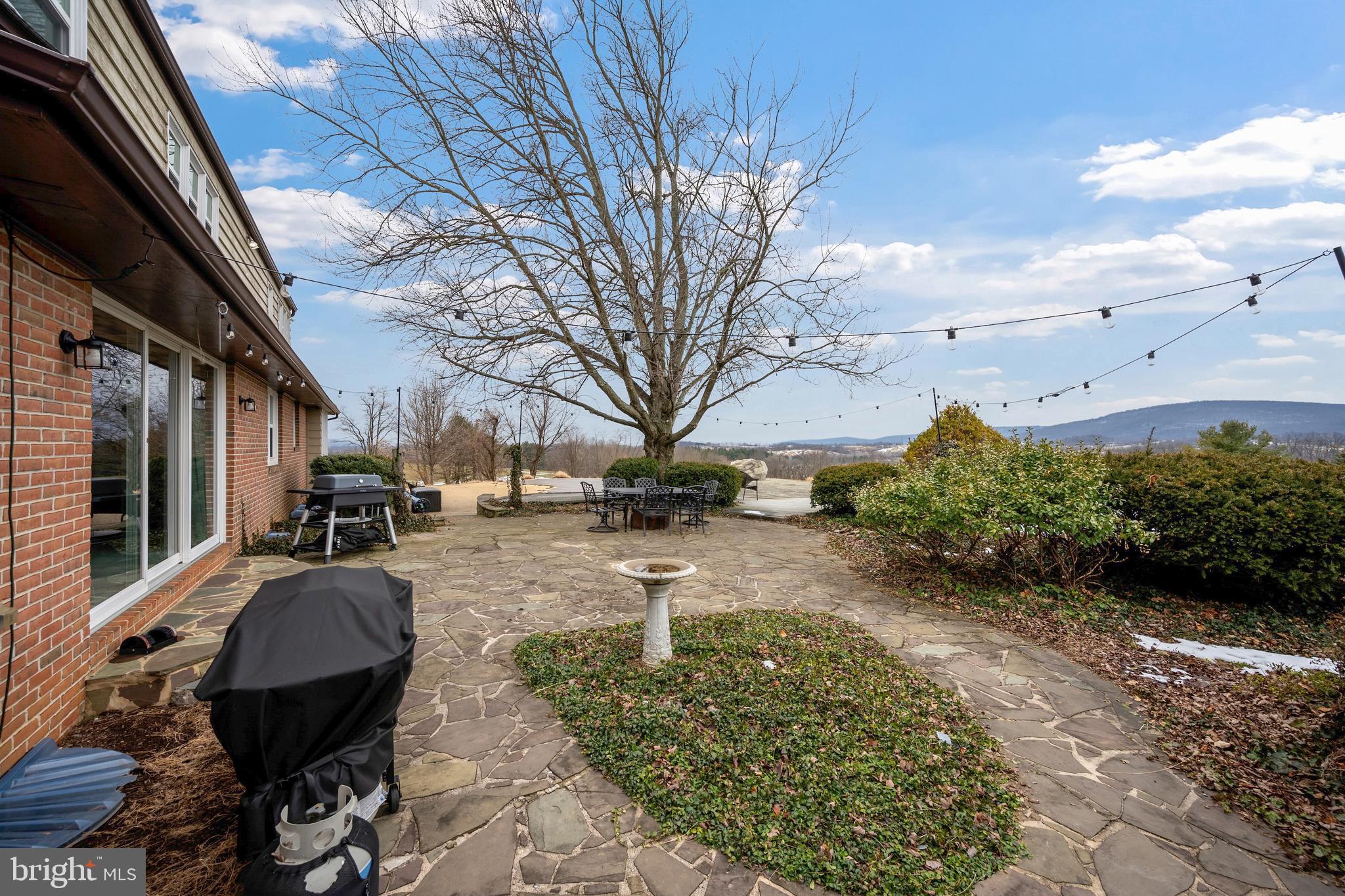 8450 Palmer Road Middletown, MD 21769 - Photo 83 of 94 Rear Stone Patio