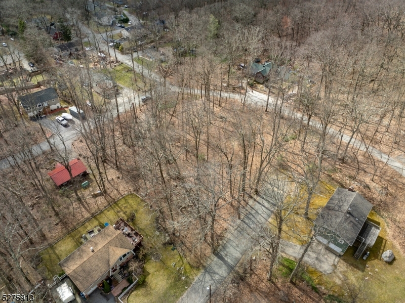 222 Acabonack Road Vernon, NJ 07422 - Photo 9 of 21 a close up of a plant