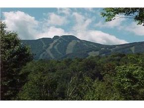 205 Roaring Brook Road Killington, VT 05751 - Photo 2 of 9 Gallery Image 2