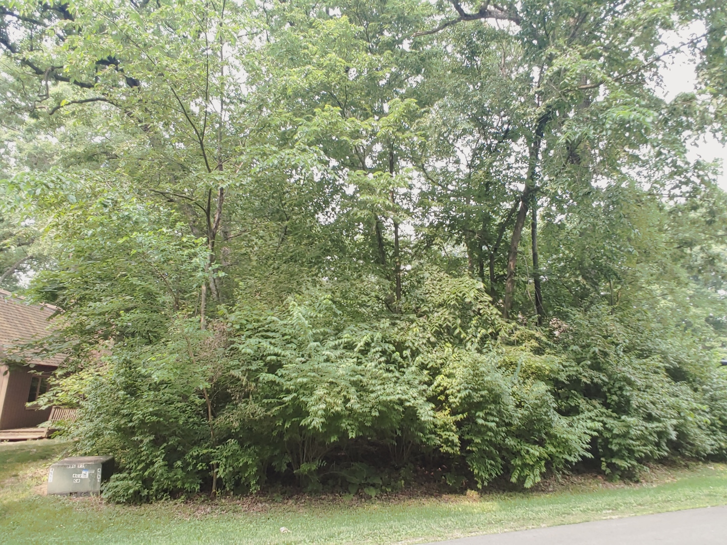 327 Rochester Road Northeast Poplar Grove, IL 61065 - Photo 2 of 20 a view of a large yard with lots of bushes