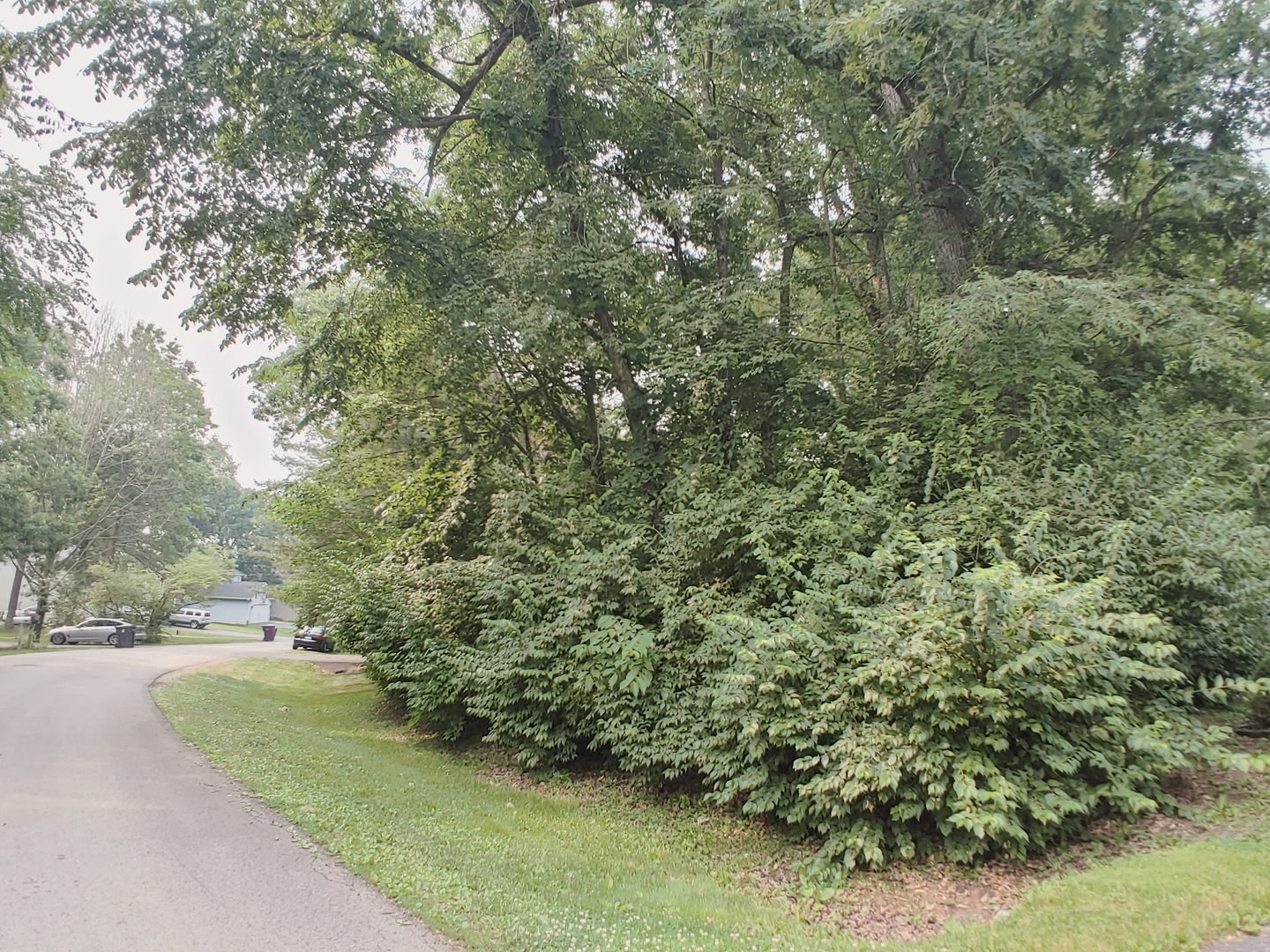 327 Rochester Road Northeast Poplar Grove, IL 61065 - Photo 4 of 20 a view of a yard with plants and trees