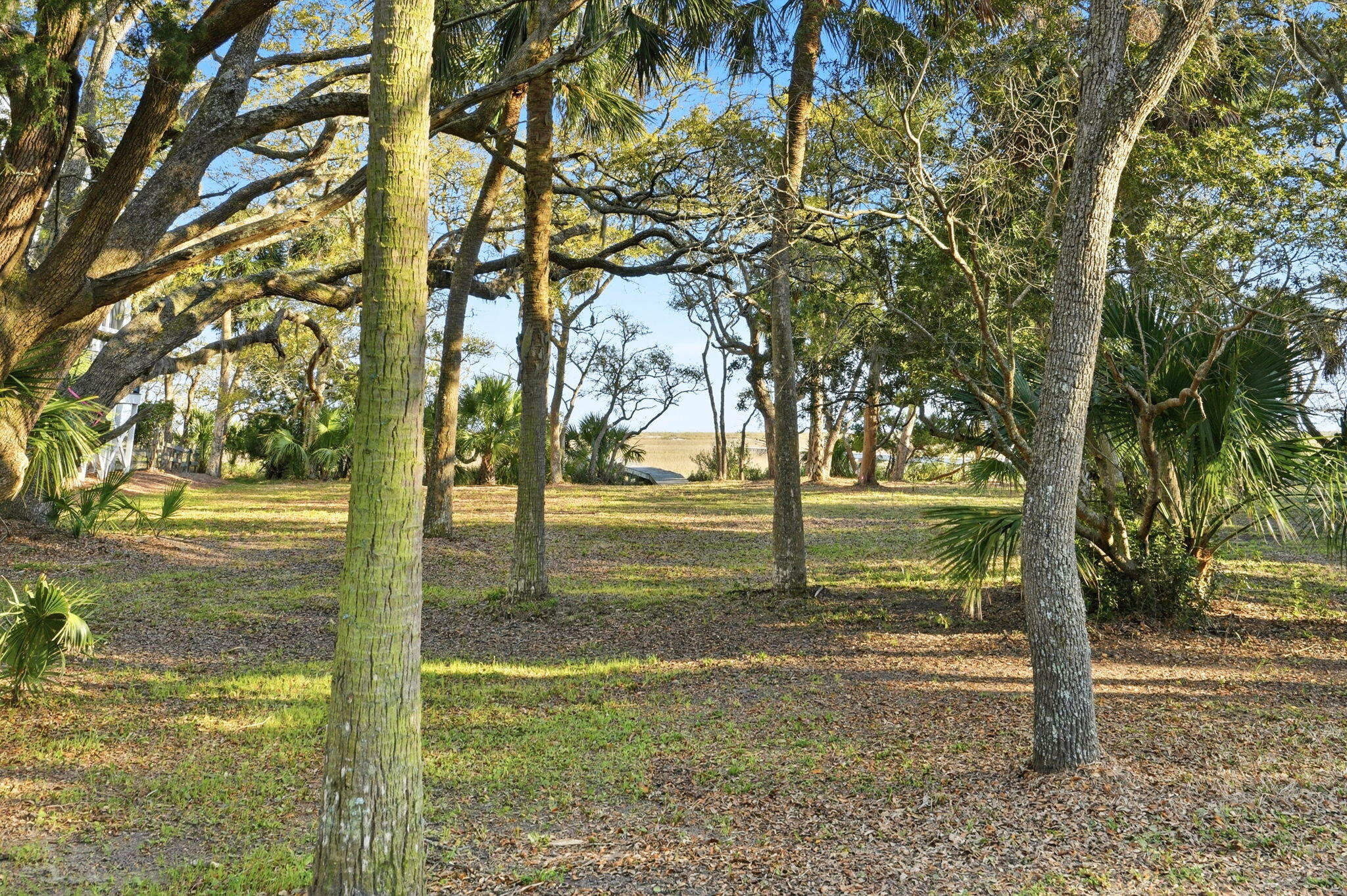 0 Hammocks Way Edisto Island, SC 29438 - Photo 7 of 40 50-web-or-mls-053_DSC06820