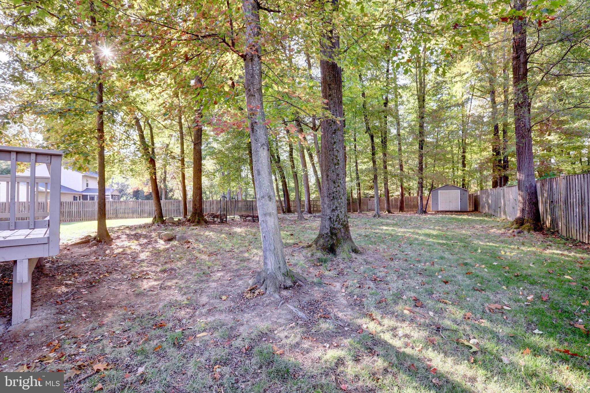 2336 Rosedown Drive Reston, VA 20191 - Photo 29 of 30 LOTS OF TREES!