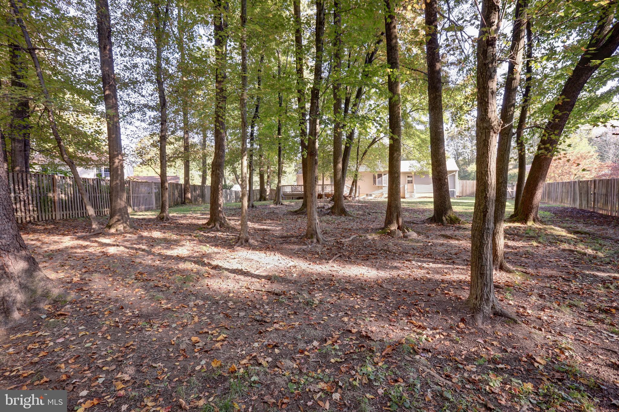 2336 Rosedown Drive Reston, VA 20191 - Photo 30 of 30 MORE TREES!