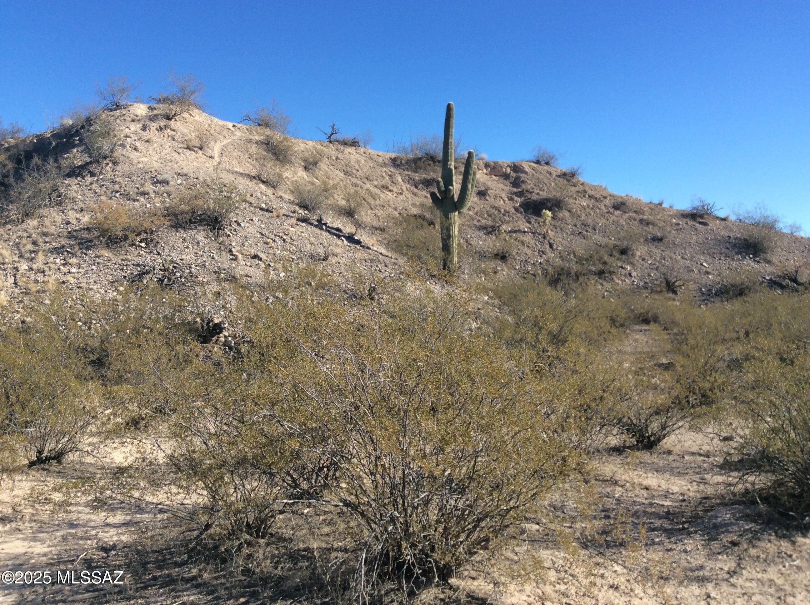 Tbd South River Road Mammoth, AZ 85618 - Photo 5 of 23