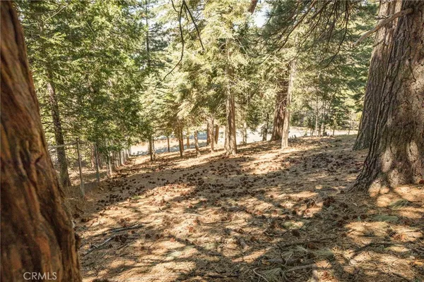 $15,000 | 30908 Glen Oak Drive, Running Springs, CA 92382