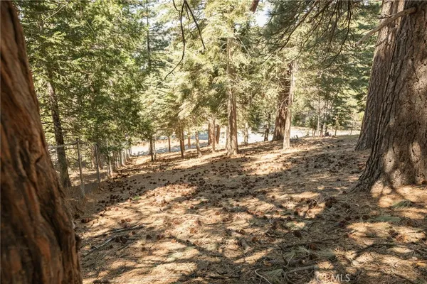 $15,000 | 30908 Glen Oak Drive, Running Springs, CA 92382