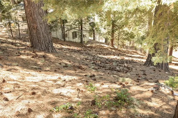 $15,000 | 30908 Glen Oak Drive, Running Springs, CA 92382