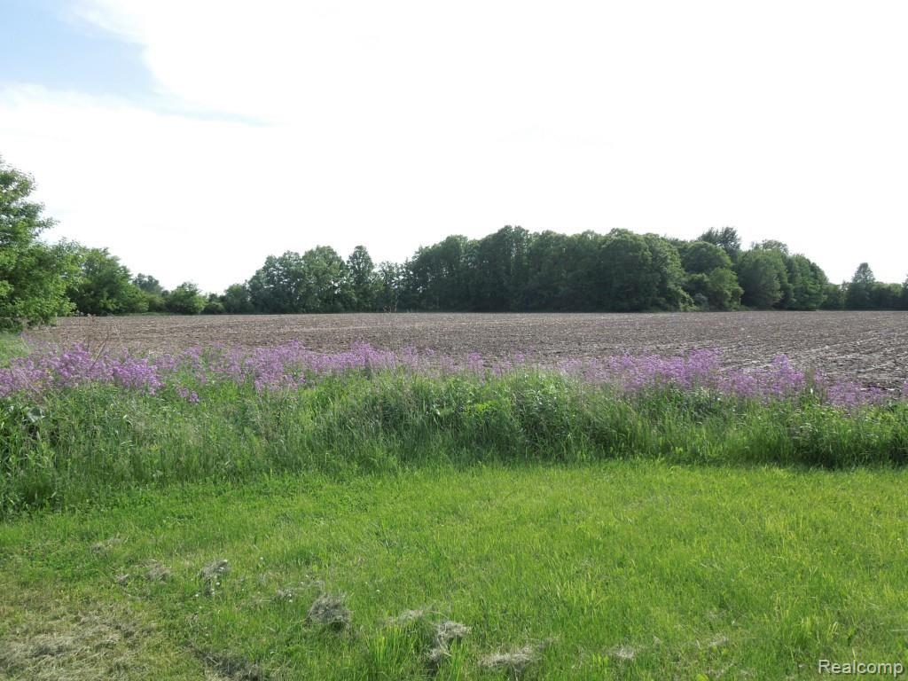 387 Howell Road Allenton, MI 48002 - Photo 33 of 33 31.jpg