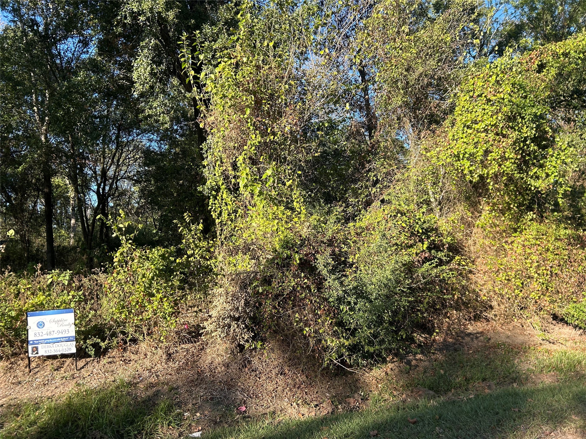 0 Wells Spring, TX 77373 - Photo 5 of 9 a view of a house with a tree