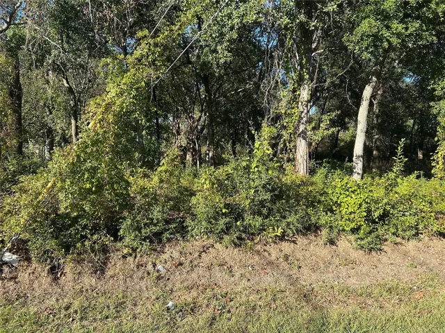 a view of a yard with plants