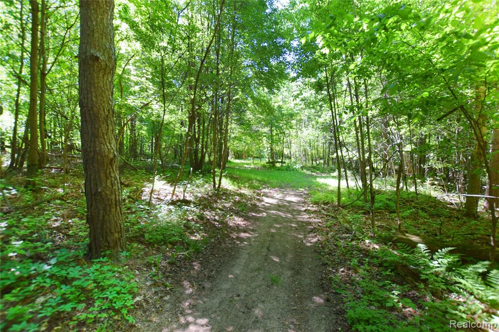 5298 Clear Lake Road North Branch, MI 48461 - Photo 40 of 44