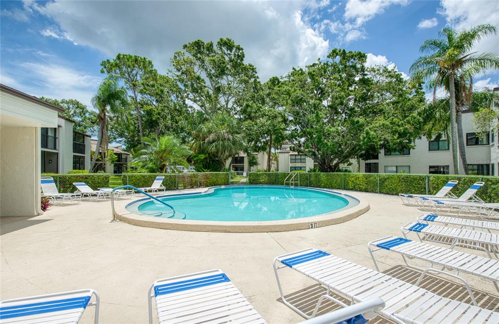 700 Starkey Road, Unit 1145 Largo, FL 33771 - Photo 43 of 63 a view of a swimming pool with a patio