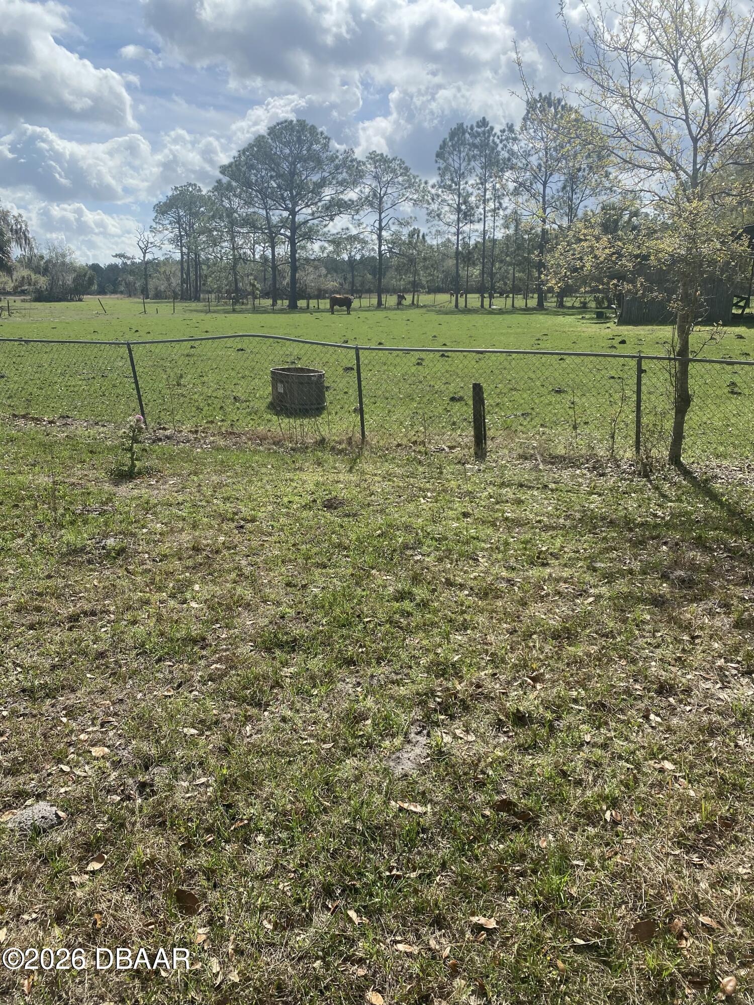 1201 Maytown Spur Road Oak Hill, FL 32759 - Photo 3 of 26 IMG_4745