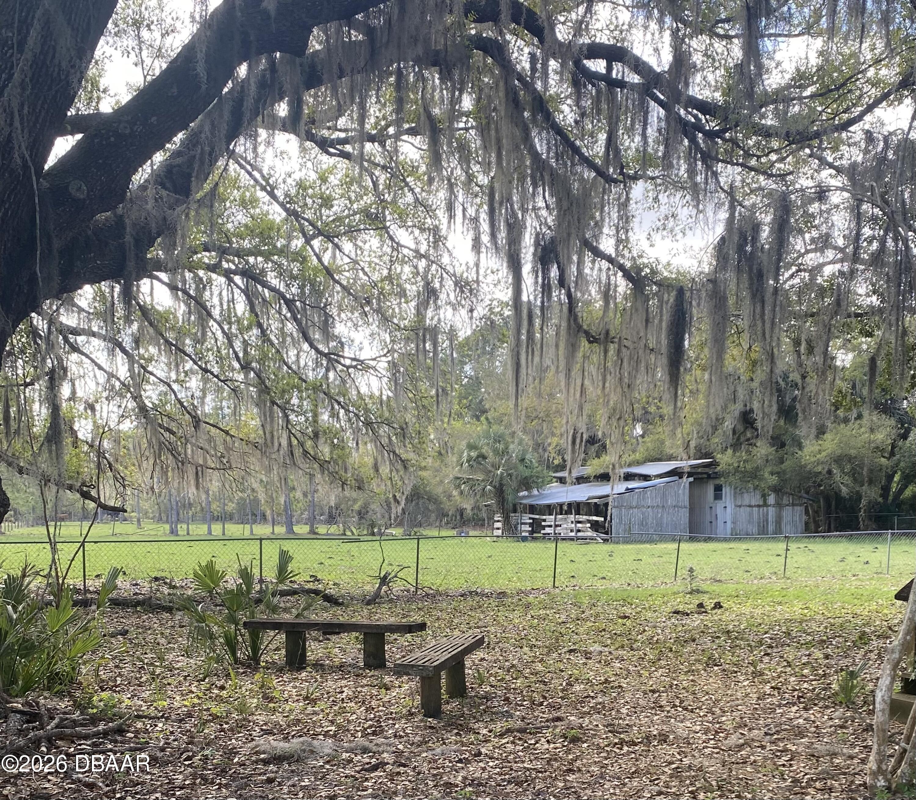 1201 Maytown Spur Road Oak Hill, FL 32759 - Photo 5 of 26 IMG_4779