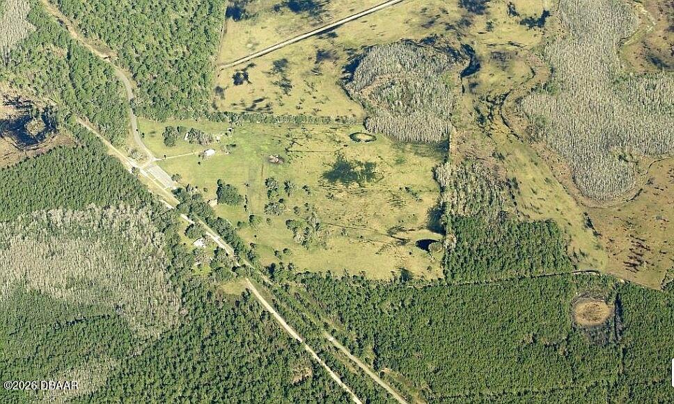 1201 Maytown Spur Road Oak Hill, FL 32759 - Photo 8 of 26 1201 Maytown spur 3_sharpened (1)