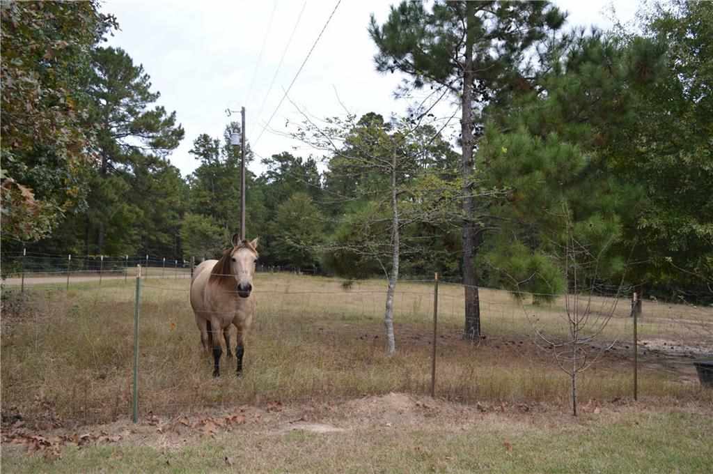105 Dewil Cemetery Road Boyce, LA 71409 - Photo 2 of 25 Gallery Image 2