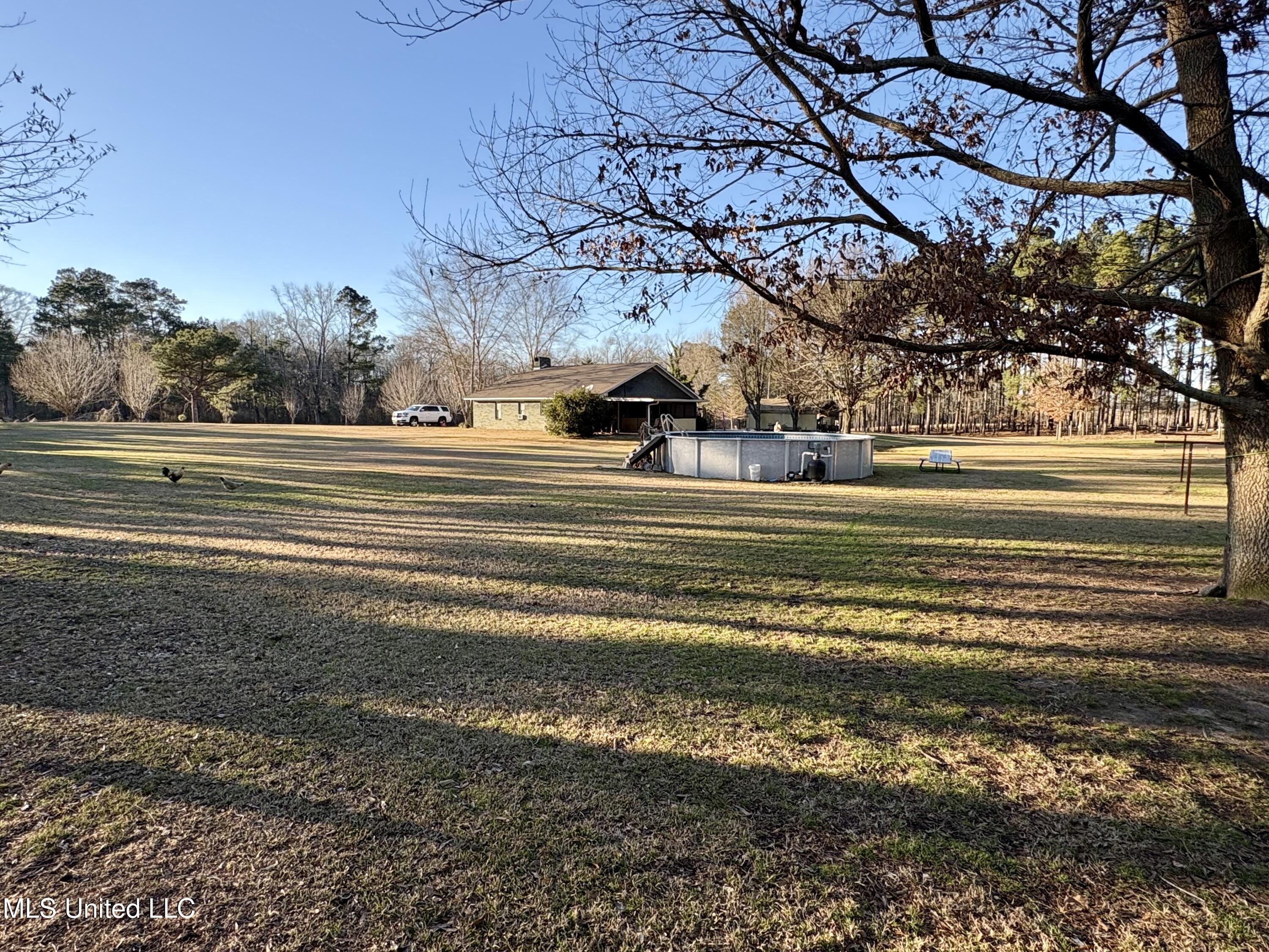 722 Holmesville Road Jayess, MS 39641 - Photo 13 of 47 View from chicken pen