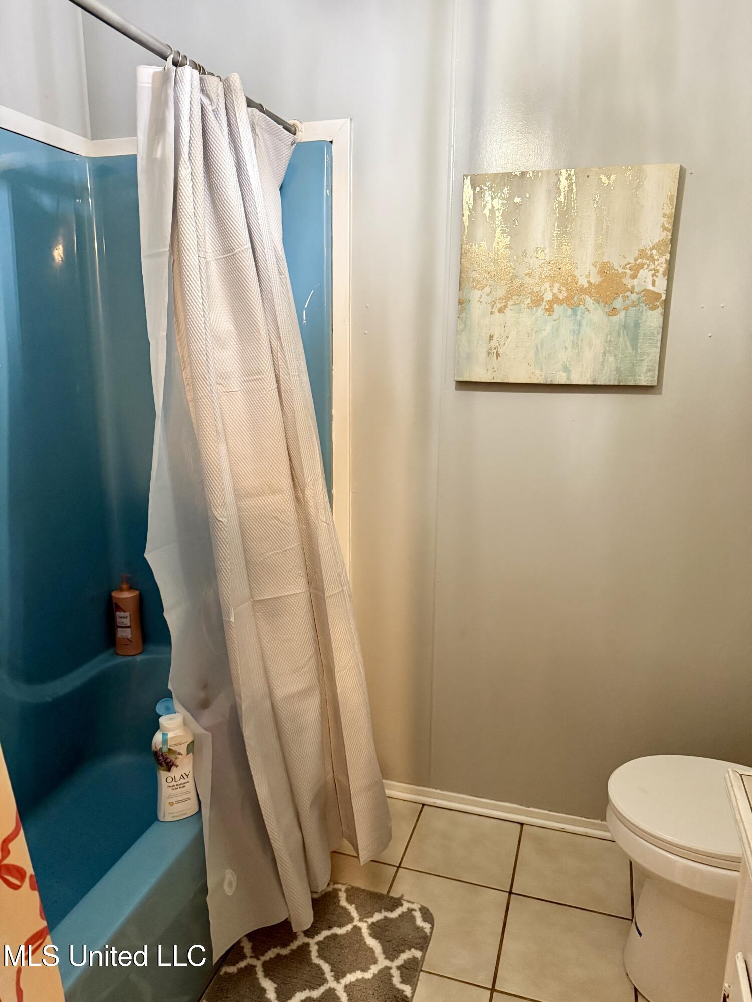 722 Holmesville Road Jayess, MS 39641 - Photo 29 of 47 bath master 2